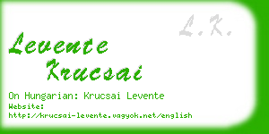 levente krucsai business card